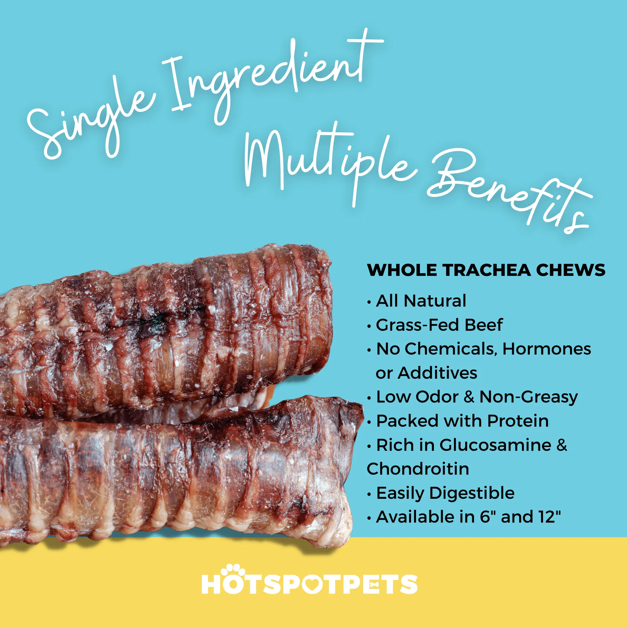 6" Whole Beef Trachea Chews for Small & Medium Dogs
