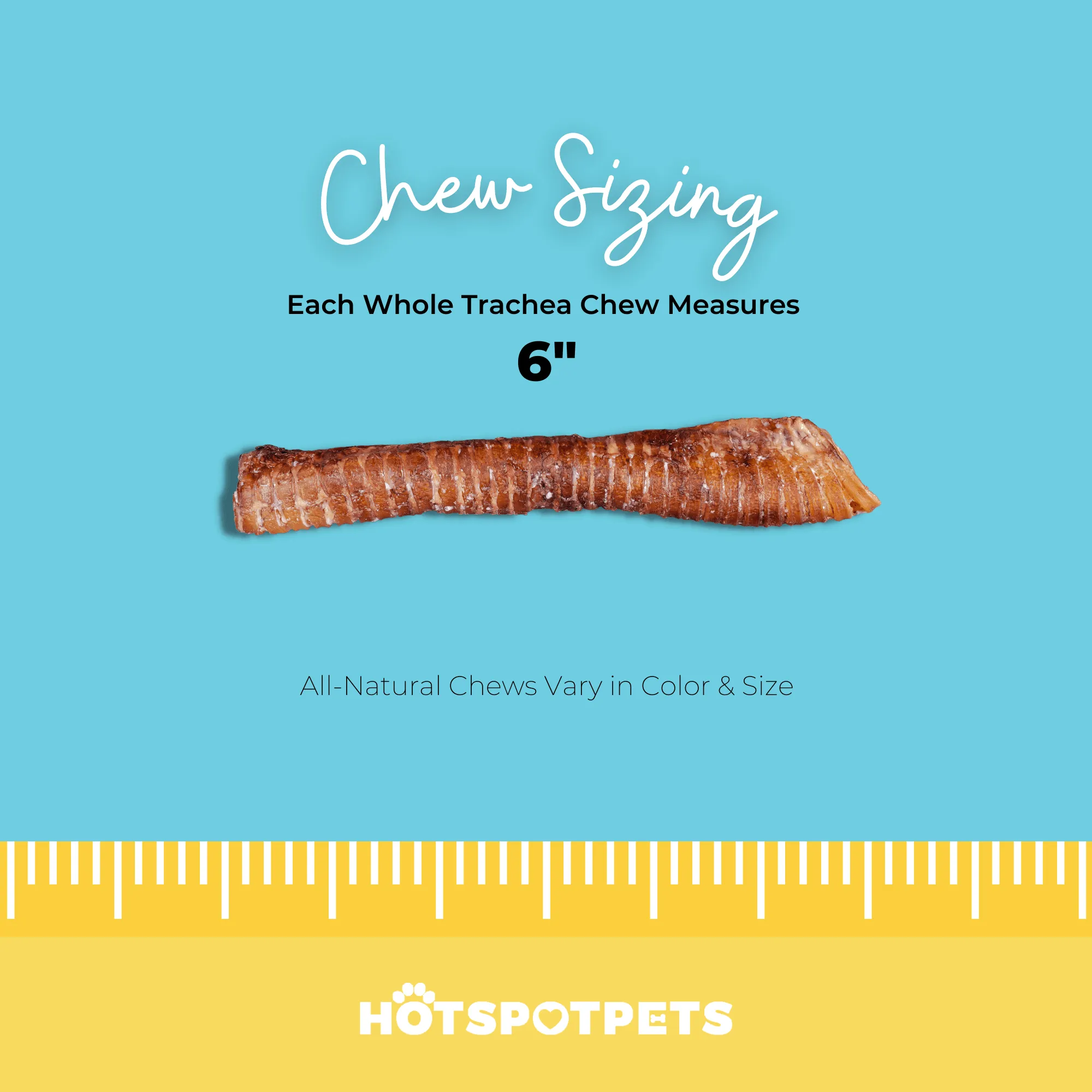 6" Whole Beef Trachea Chews for Small & Medium Dogs