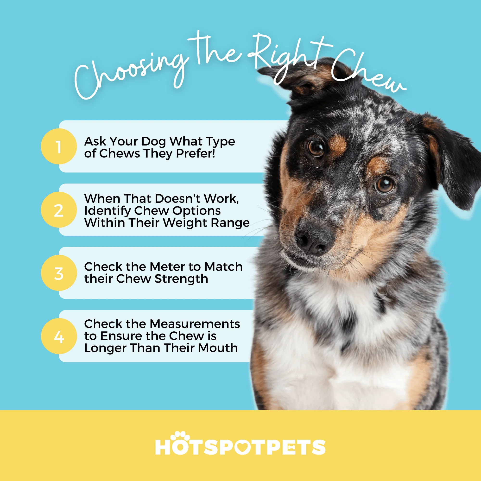 6" Whole Beef Trachea Chews for Small & Medium Dogs