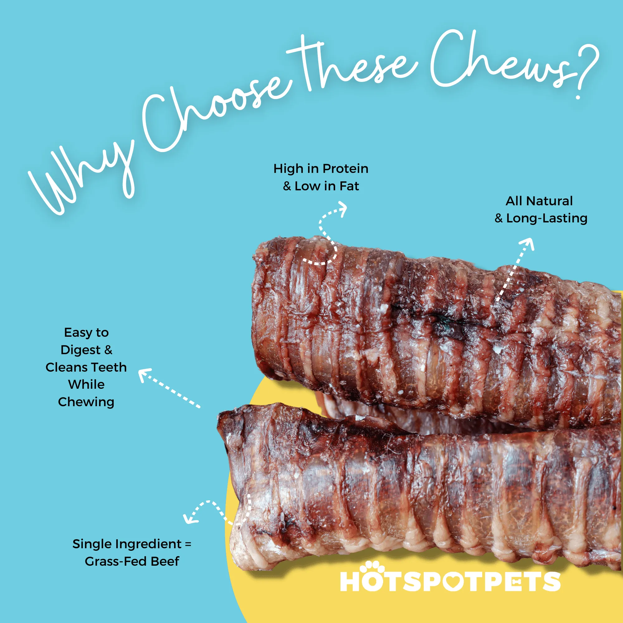 6" Whole Beef Trachea Chews for Small & Medium Dogs