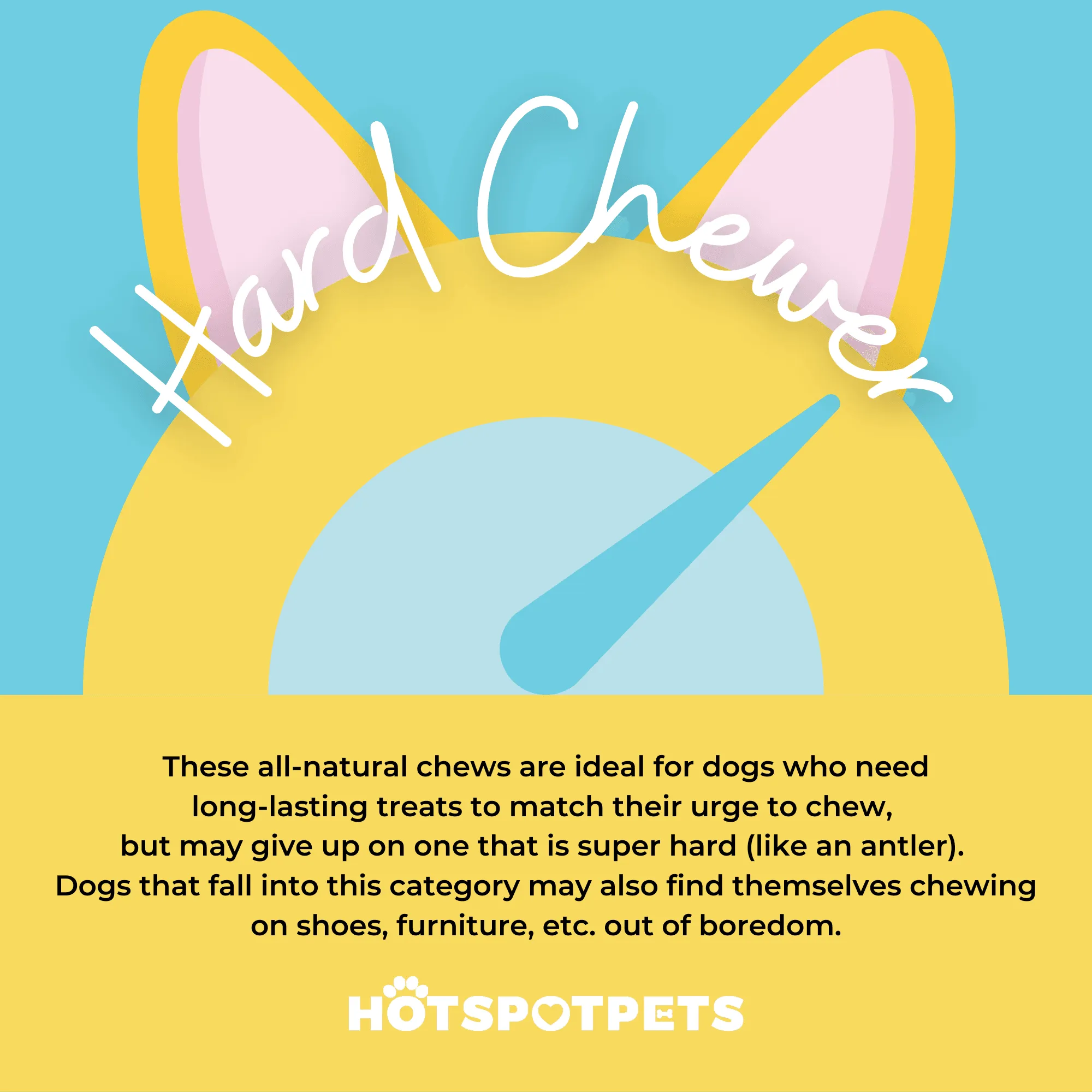 6" Whole Beef Trachea Chews for Small & Medium Dogs