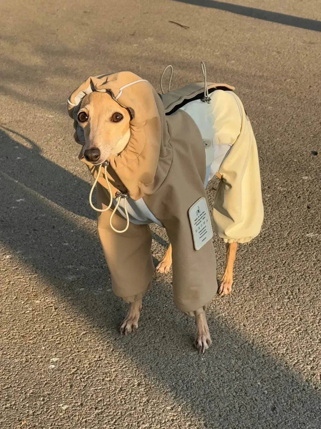 Adjustable 4-Leg Fleece-lined Warm Long Sleeve Dog Raincoat