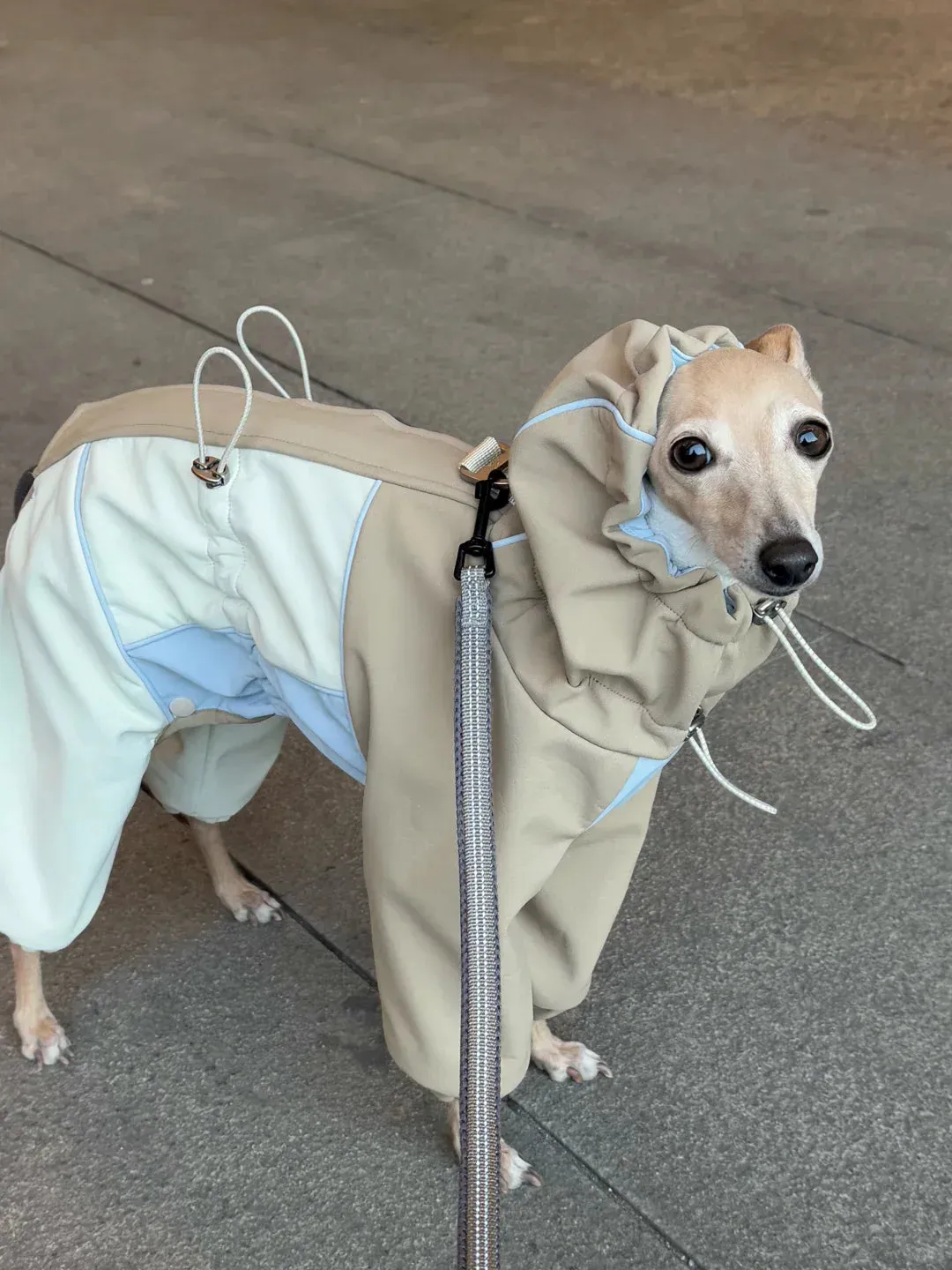 Adjustable 4-Leg Fleece-lined Warm Long Sleeve Dog Raincoat