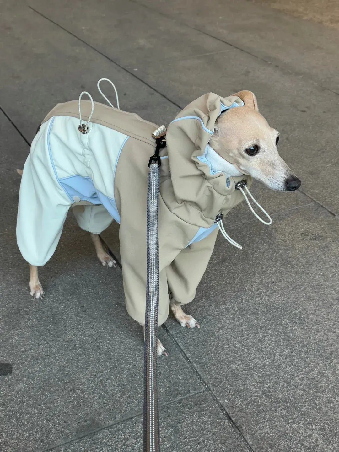 Adjustable 4-Leg Fleece-lined Warm Long Sleeve Dog Raincoat
