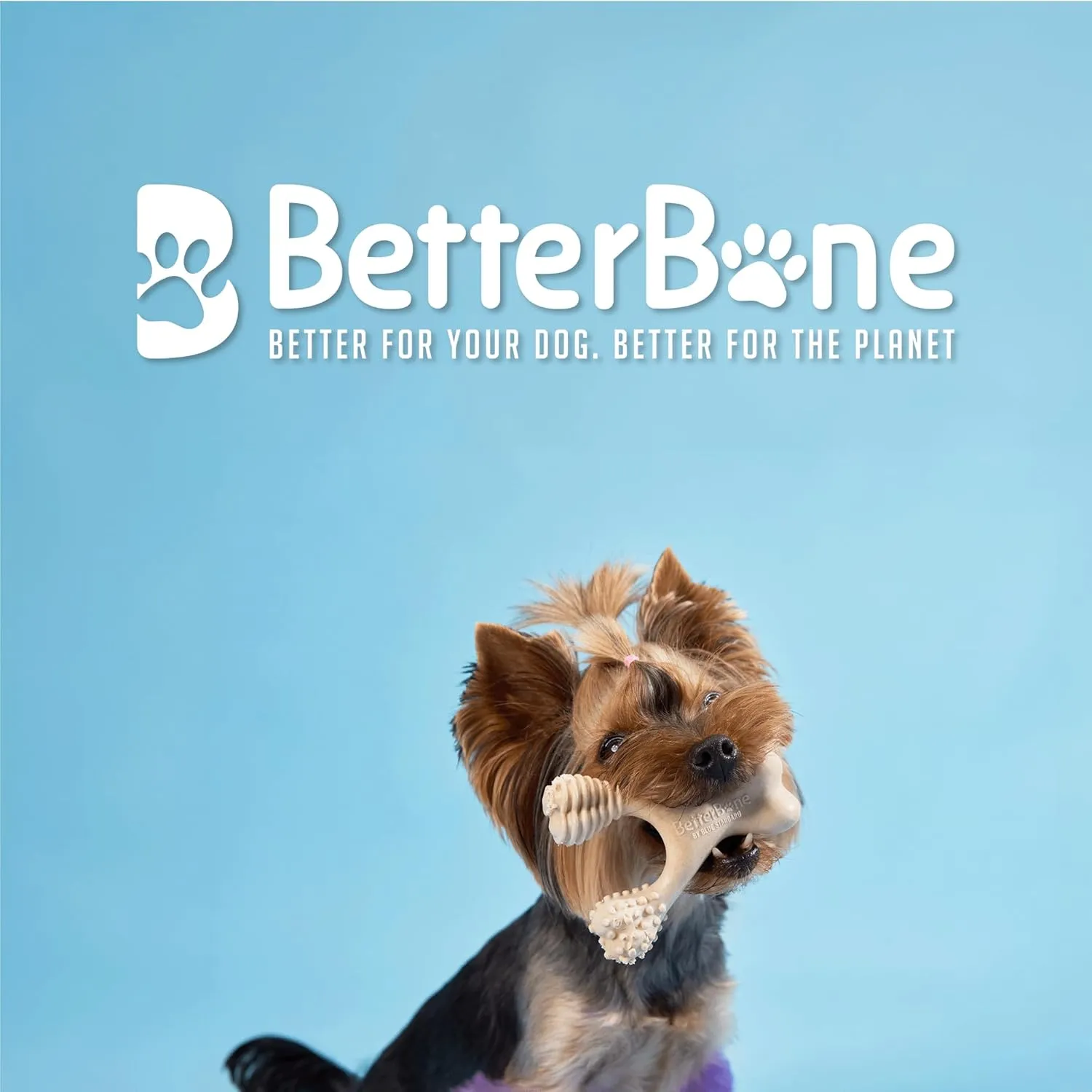 All-Natural, Nylon-Free Dog Chew Toys - Soft Density - Ideal for Light to Moderate Chewers - Non-Toxic, Promotes Dental Health, Splinter-Resistant, Sustainably Made