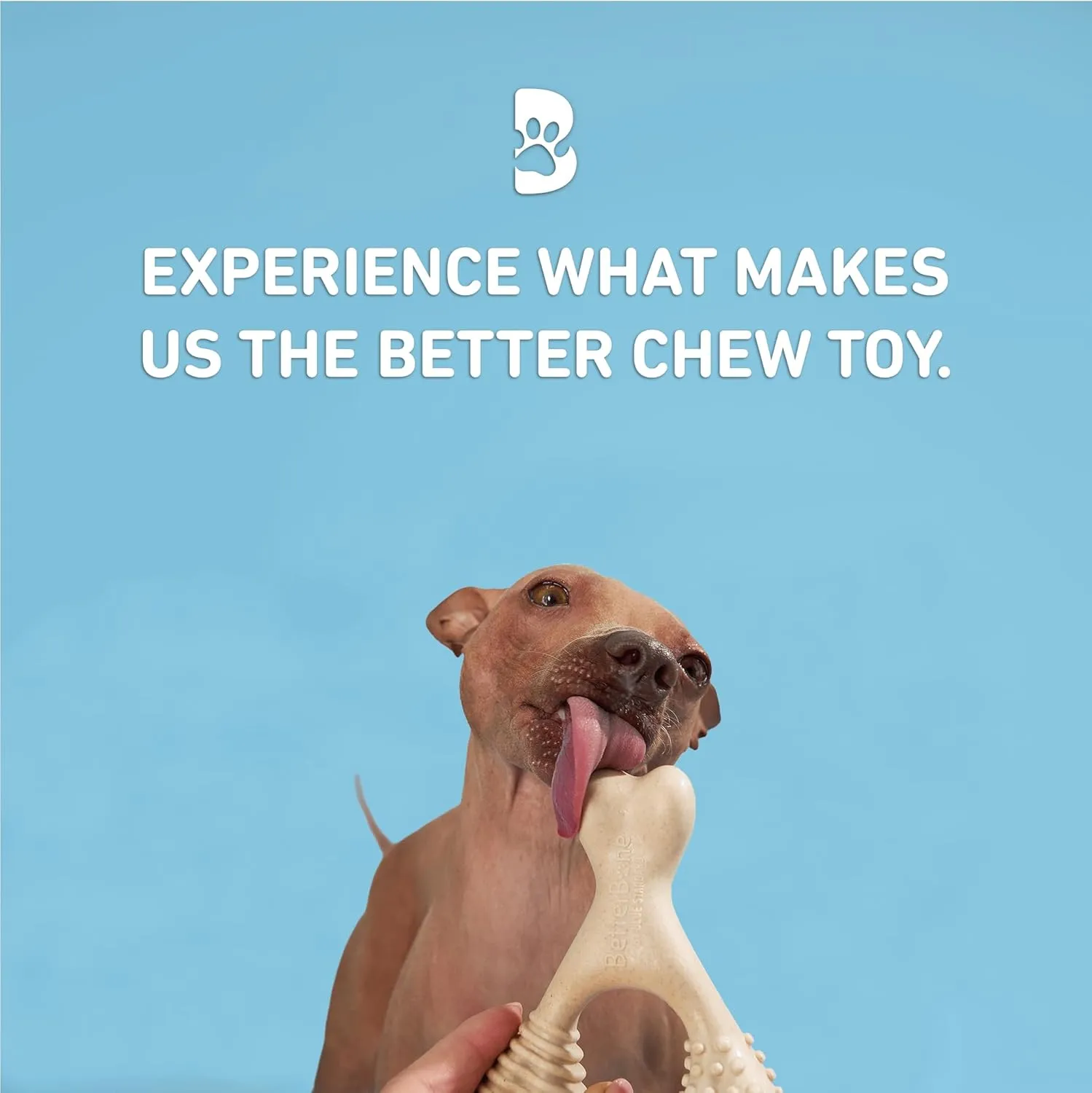 All-Natural, Nylon-Free Dog Chew Toys - Soft Density - Ideal for Light to Moderate Chewers - Non-Toxic, Promotes Dental Health, Splinter-Resistant, Sustainably Made