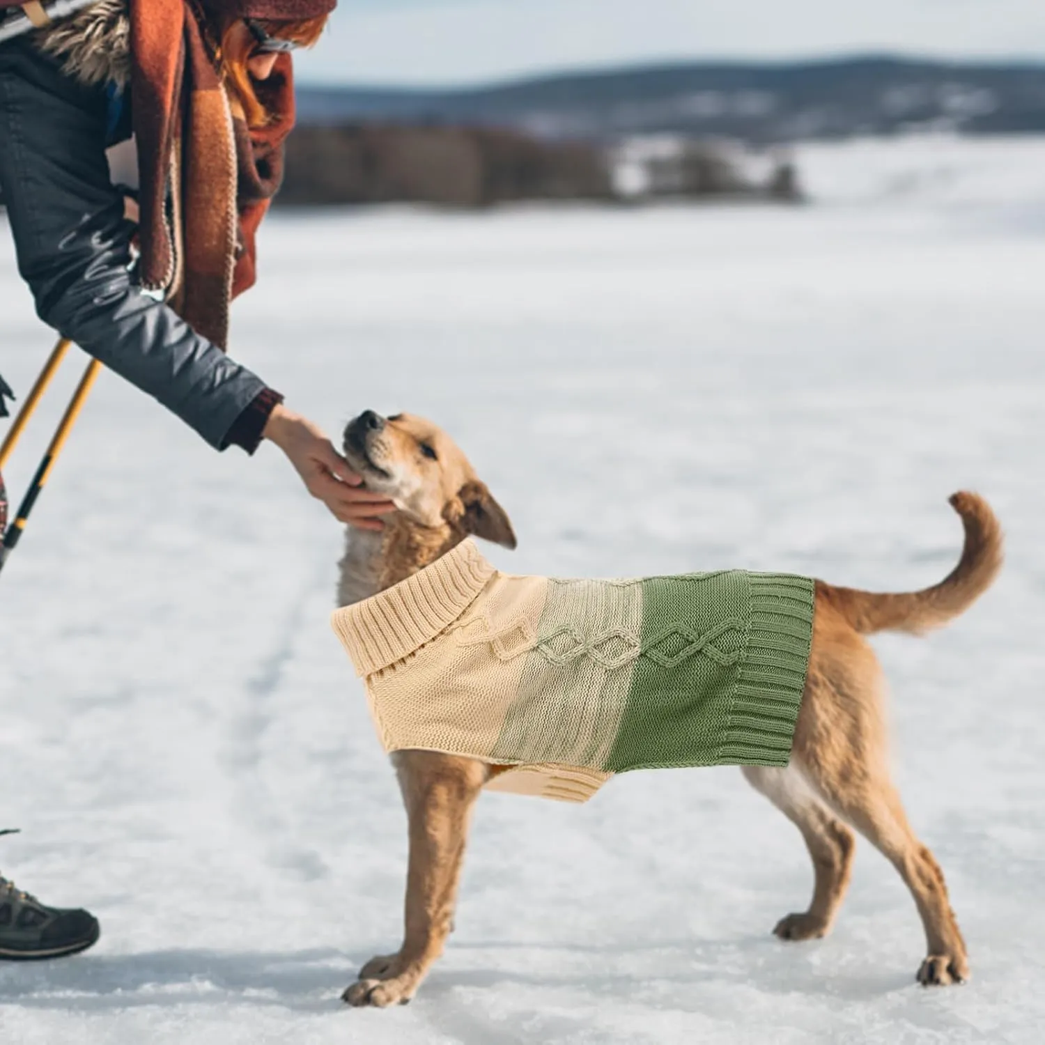 ASENKU Warm Dog Sweater for Small Medium Dogs,Pet Sweaters for Fall Winter Dog Clothing,Thicked Pullover Puppy Cat Turtleneck Sweater for Doggie Chihuahua Clothing