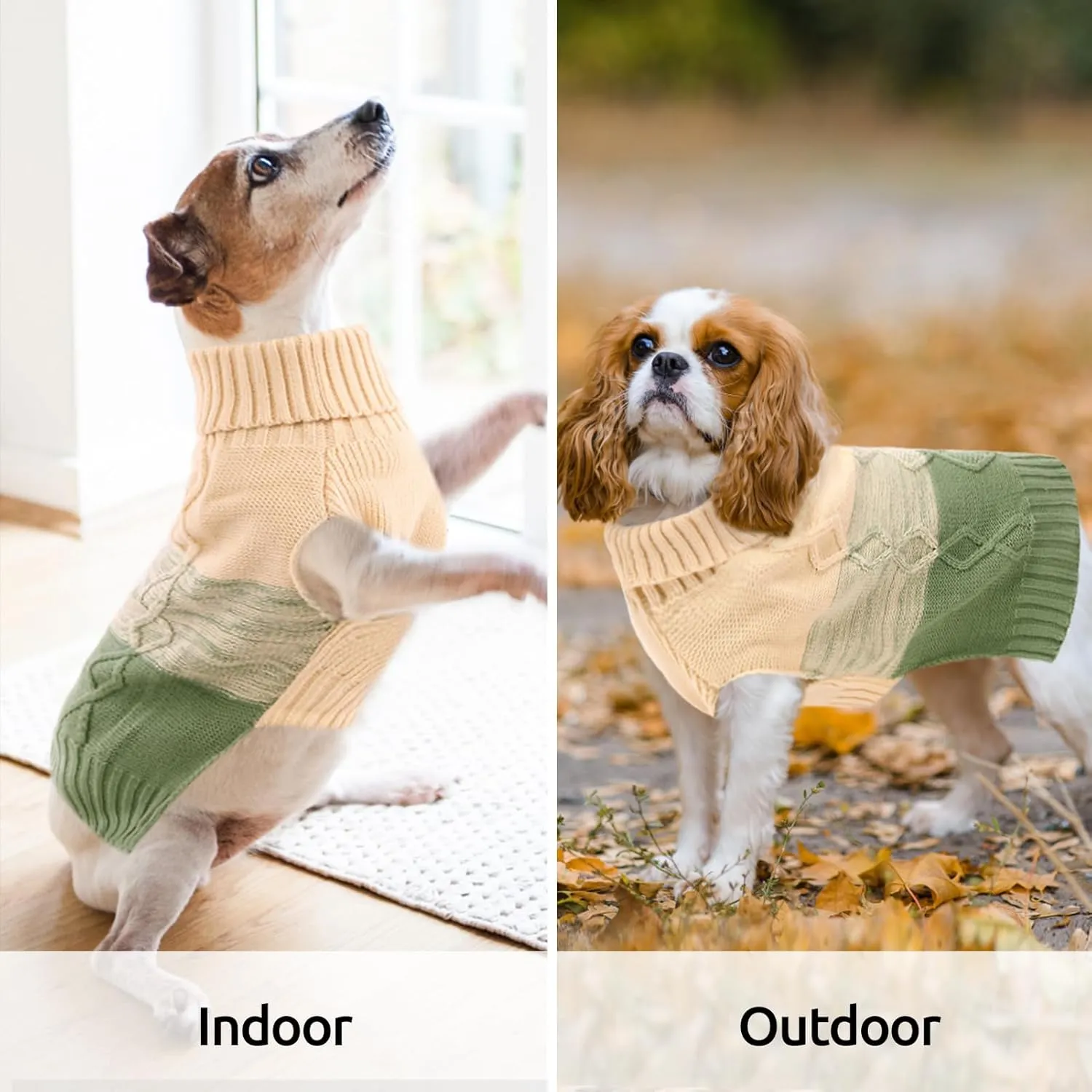 ASENKU Warm Dog Sweater for Small Medium Dogs,Pet Sweaters for Fall Winter Dog Clothing,Thicked Pullover Puppy Cat Turtleneck Sweater for Doggie Chihuahua Clothing