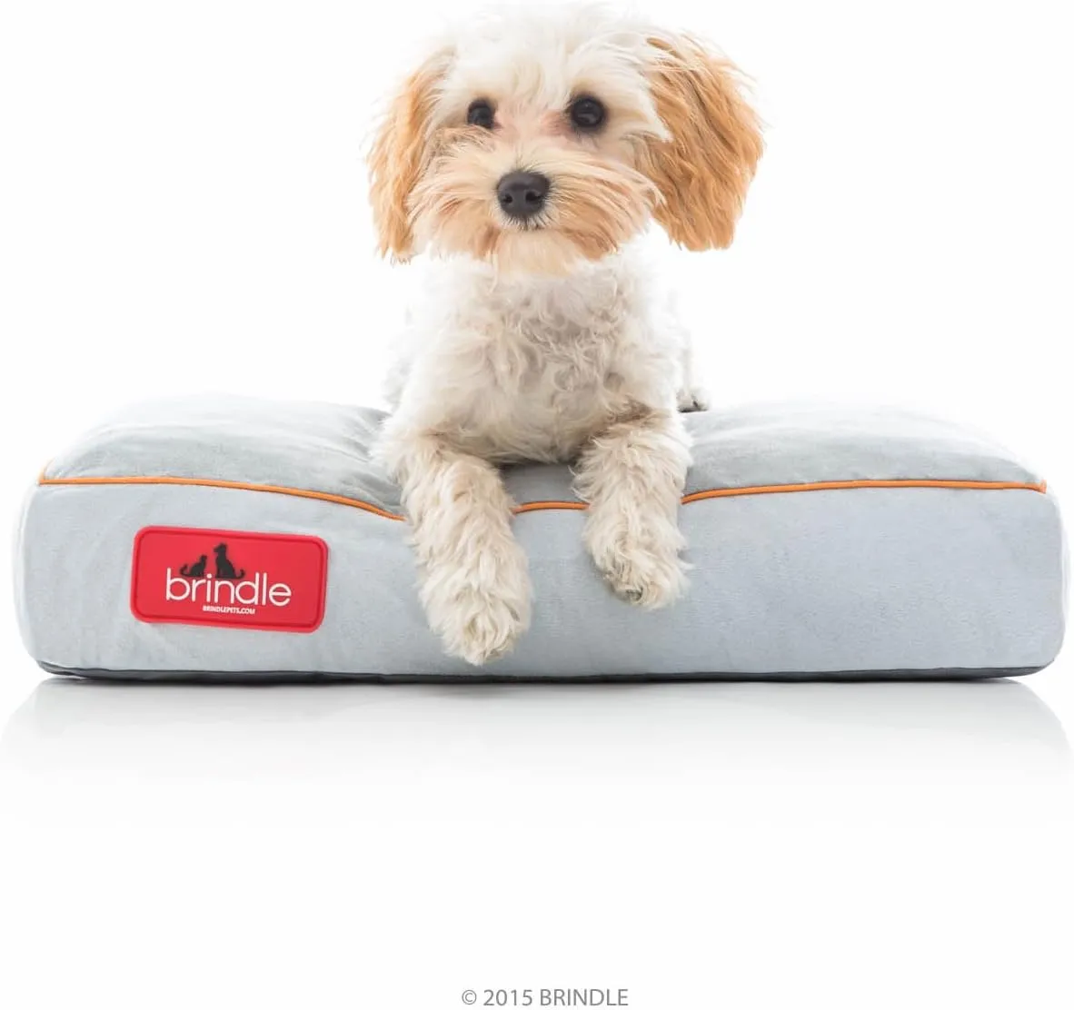 BRINDLE Stone Shredded Memory Foam Pet Bed - Pet Essentials - Orthopedic Design - Pet Crate Compatible - Machine Washable Cover - Indoor Pet Bed for Dogs, Puppies, Cats, and Rabbits - Size Small