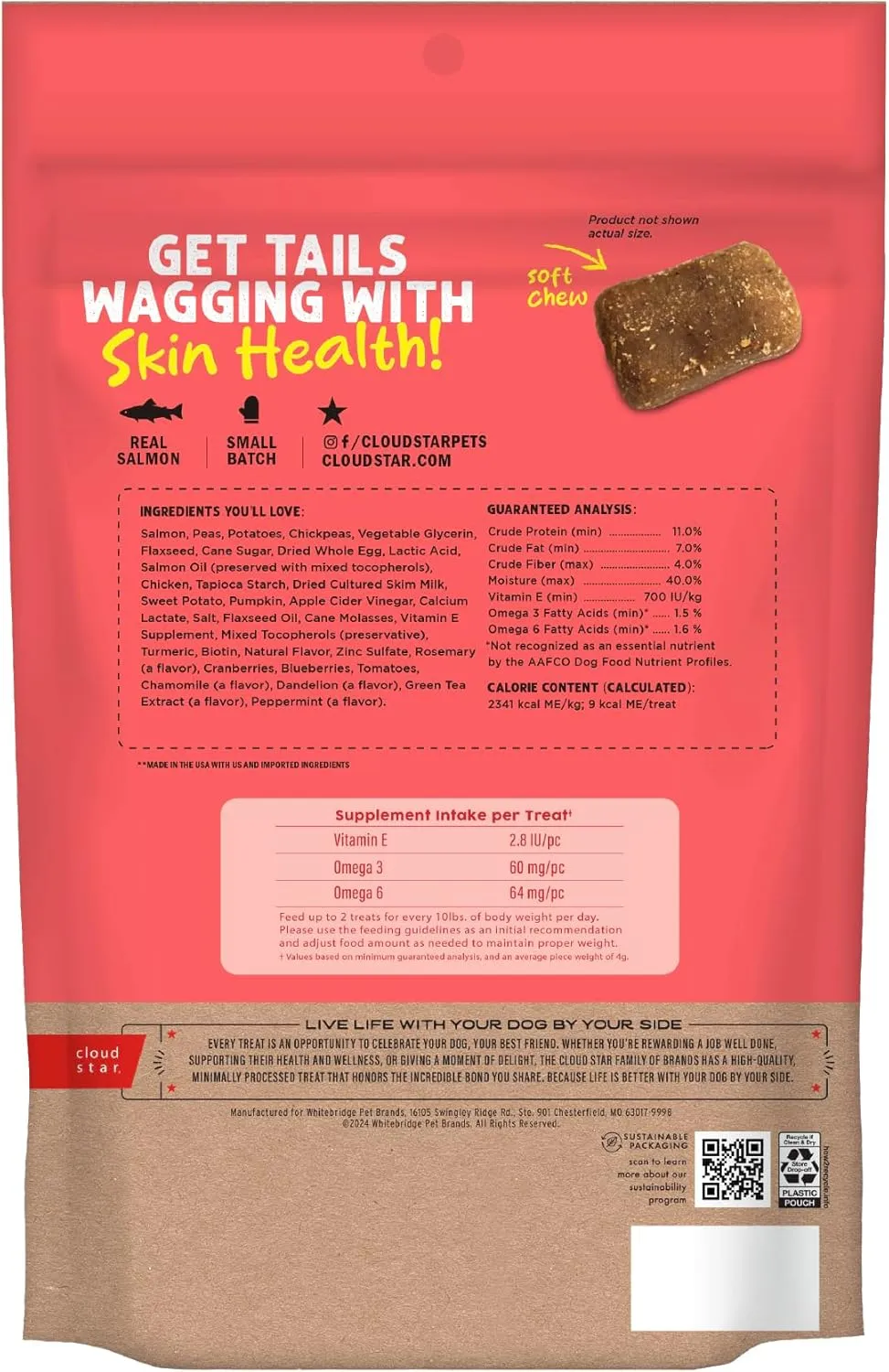 Cloud Star Dynamo Dog Skin & Coat Soft Chews Grain Free Dog Treats, Salmon, 14 oz. Pouch