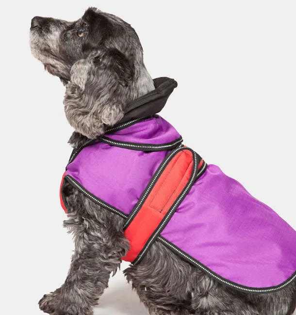 Danish Design - 2 In 1 Dog Coat - Black - 45cm (18")