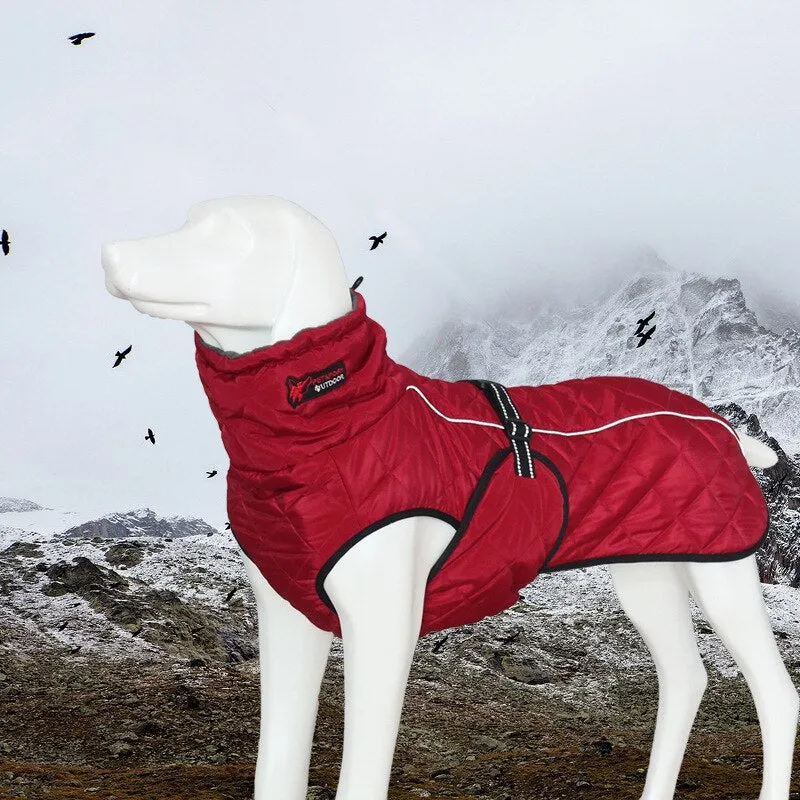 Dog Jacket Coat for Winter