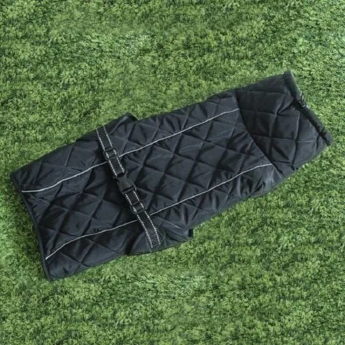 Dog Jacket Coat for Winter