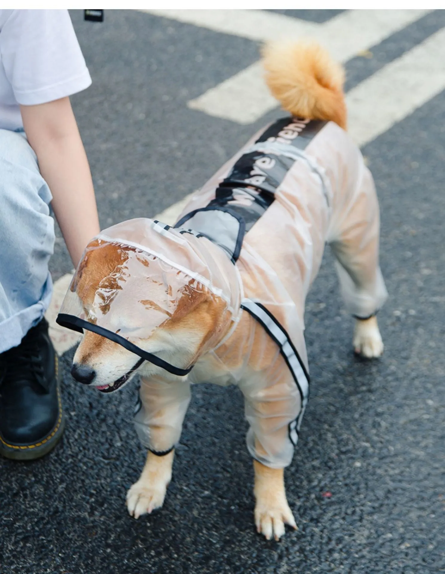 Dog Waterproof Rain Jacket with Reflective Stripe