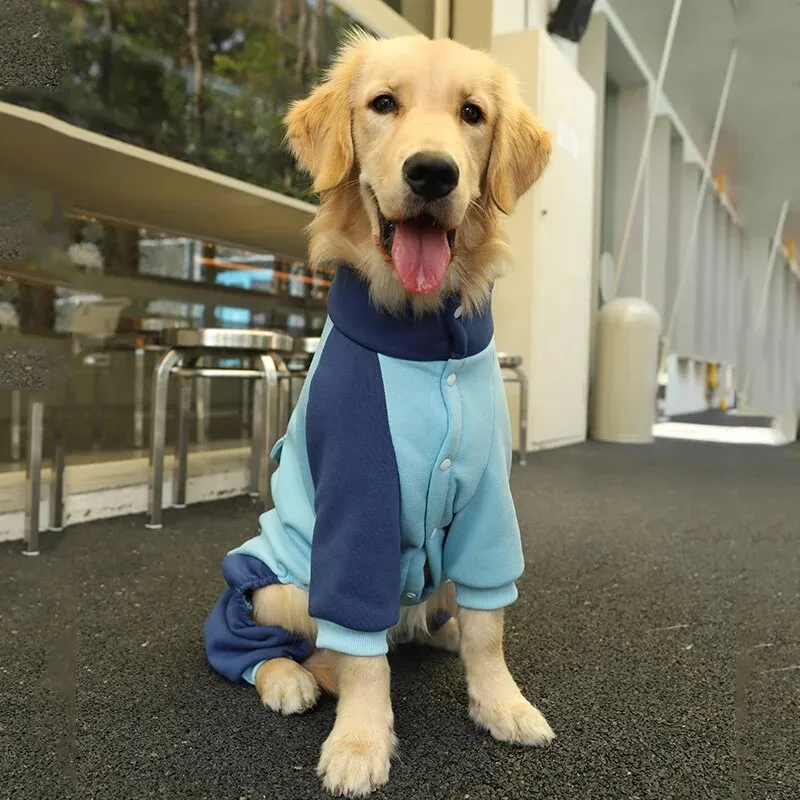 Dog Winter Hoodie Coat (M-XL)