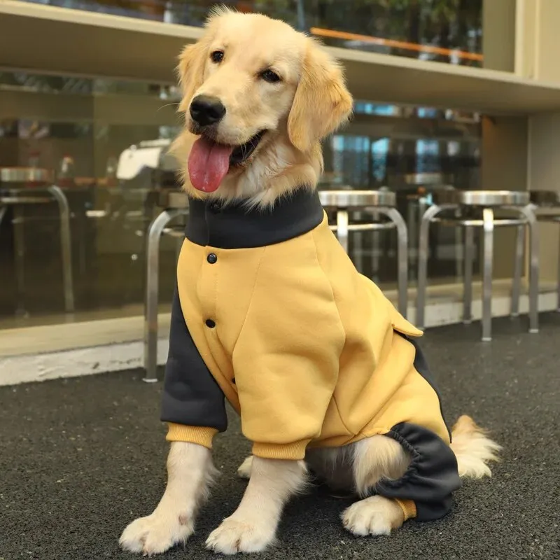 Dog Winter Hoodie Coat (M-XL)