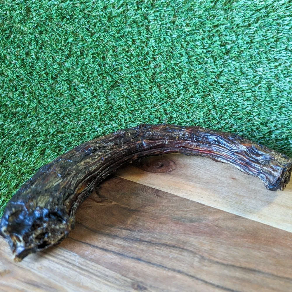 Emu Neck