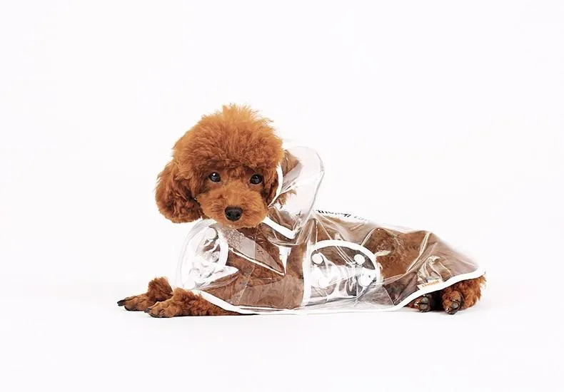 Fashion Pet Raincoat