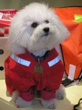 Full Body Rain Suit - FINAL SALE