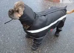 Full Body Rain Suit - FINAL SALE