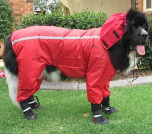 Full Body Rain Suit - FINAL SALE