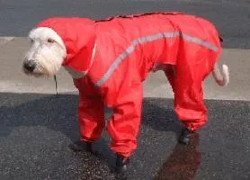 Full Body Rain Suit - FINAL SALE