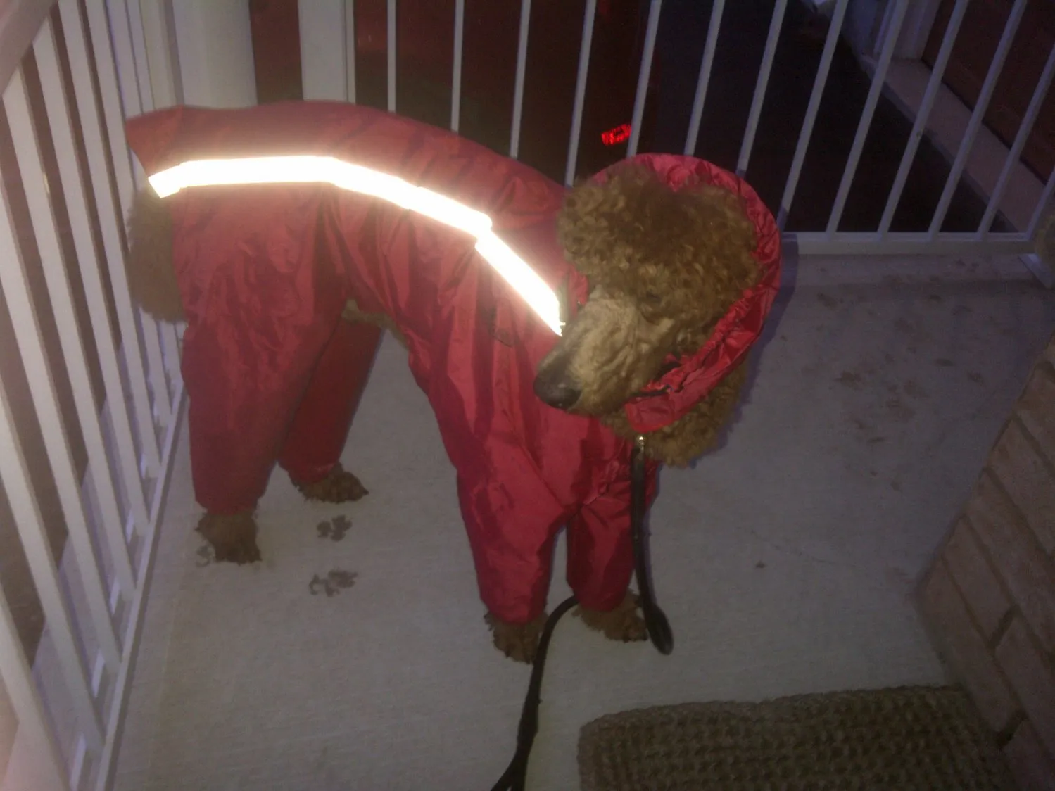 Full Body Rain Suit - FINAL SALE