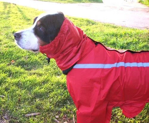 Full Body Rain Suit - FINAL SALE