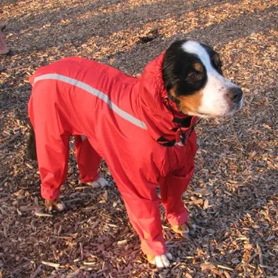 Full Body Rain Suit - FINAL SALE