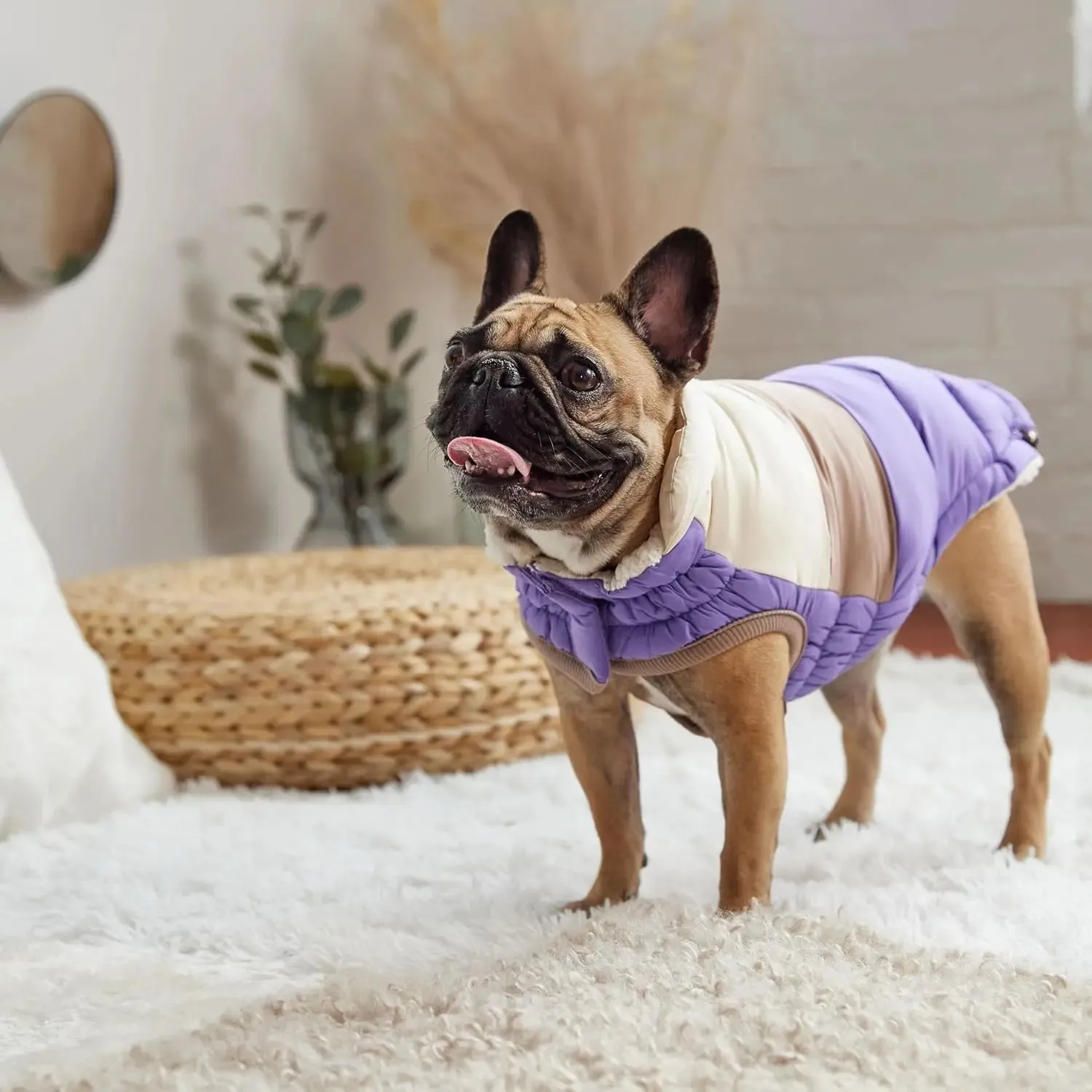 GF Pet Block Color Puffer Dog Coat