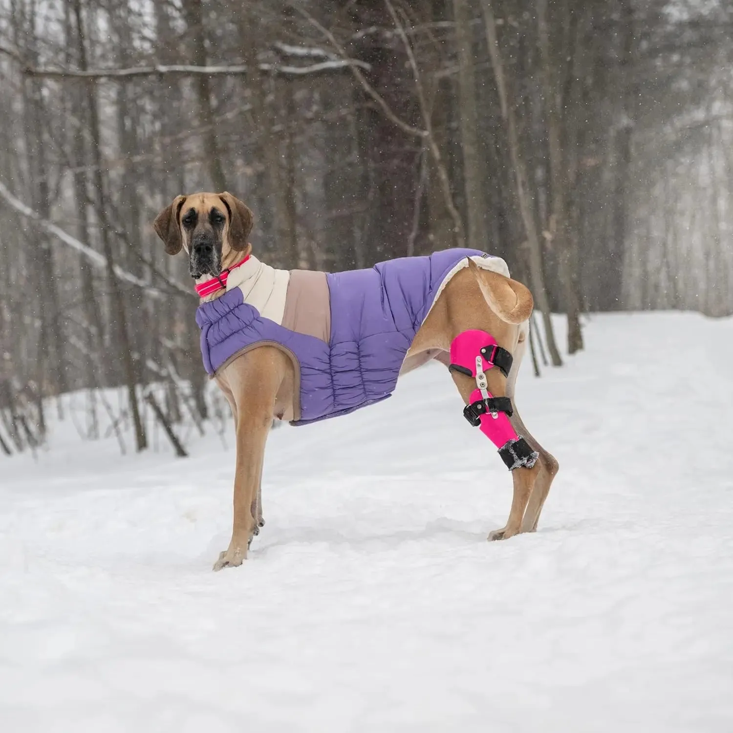 GF Pet Block Color Puffer Dog Coat
