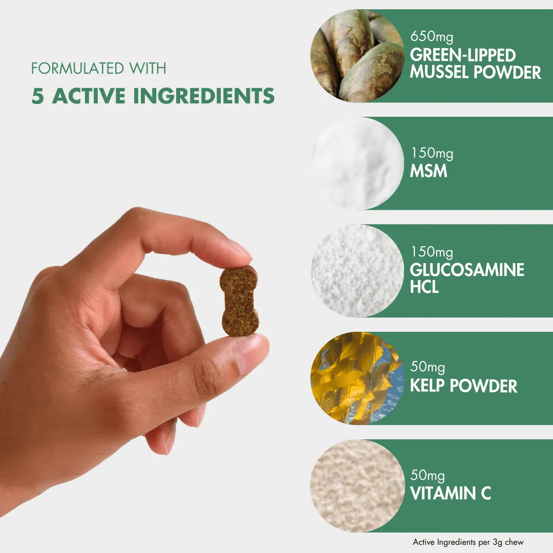 Hip & Joint Health Chews for Dogs