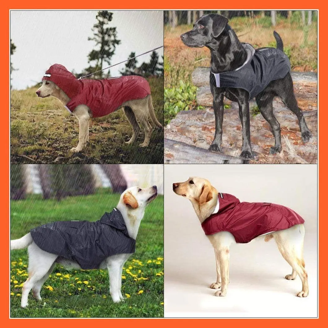 Large Dog Waterproof Raincoat