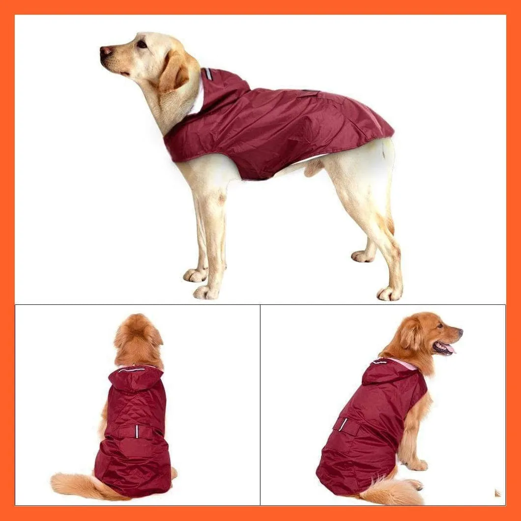 Large Dog Waterproof Raincoat