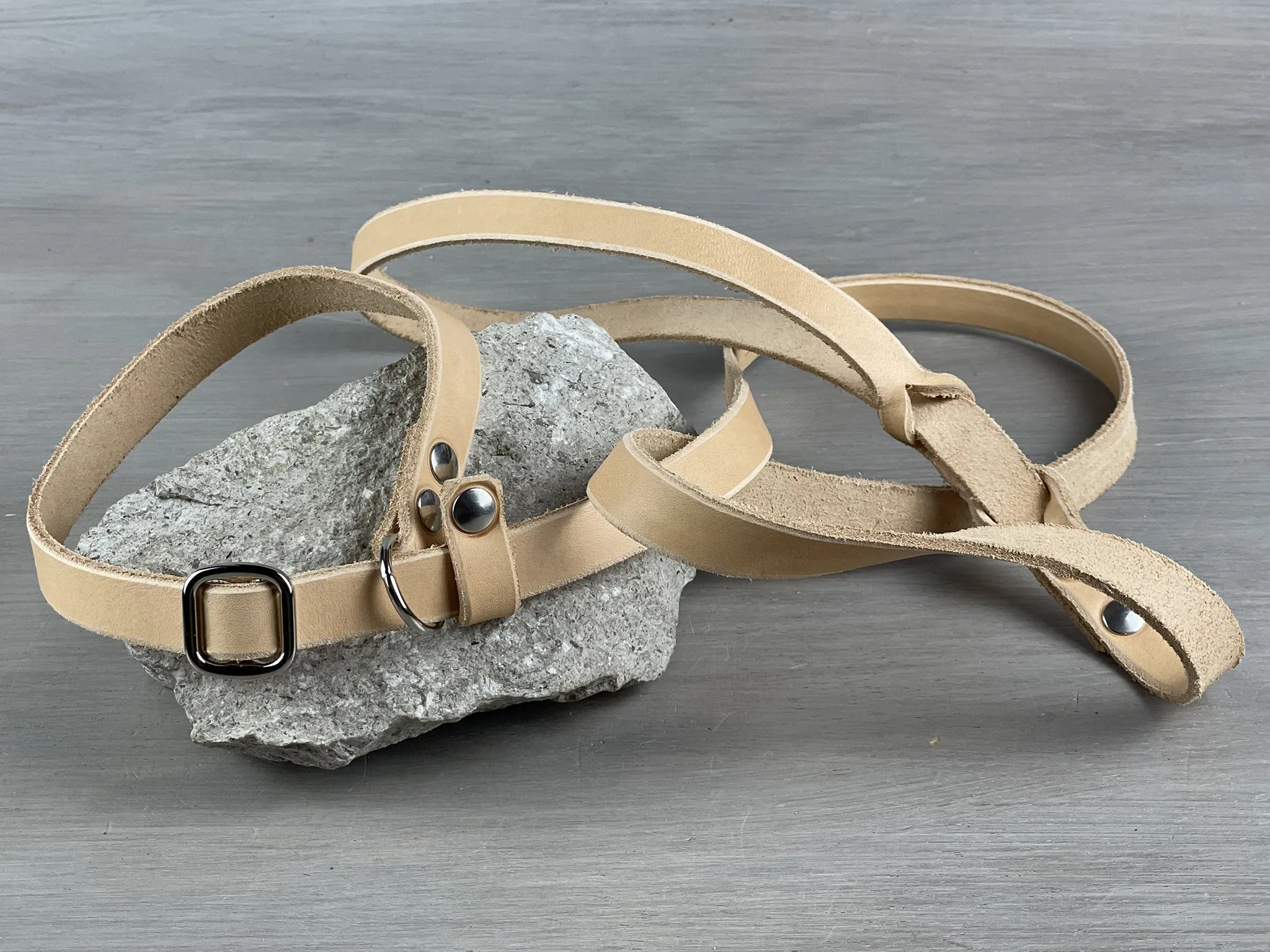 Leather Slip Dog Leash from 3 ft to 10 ft with Handle