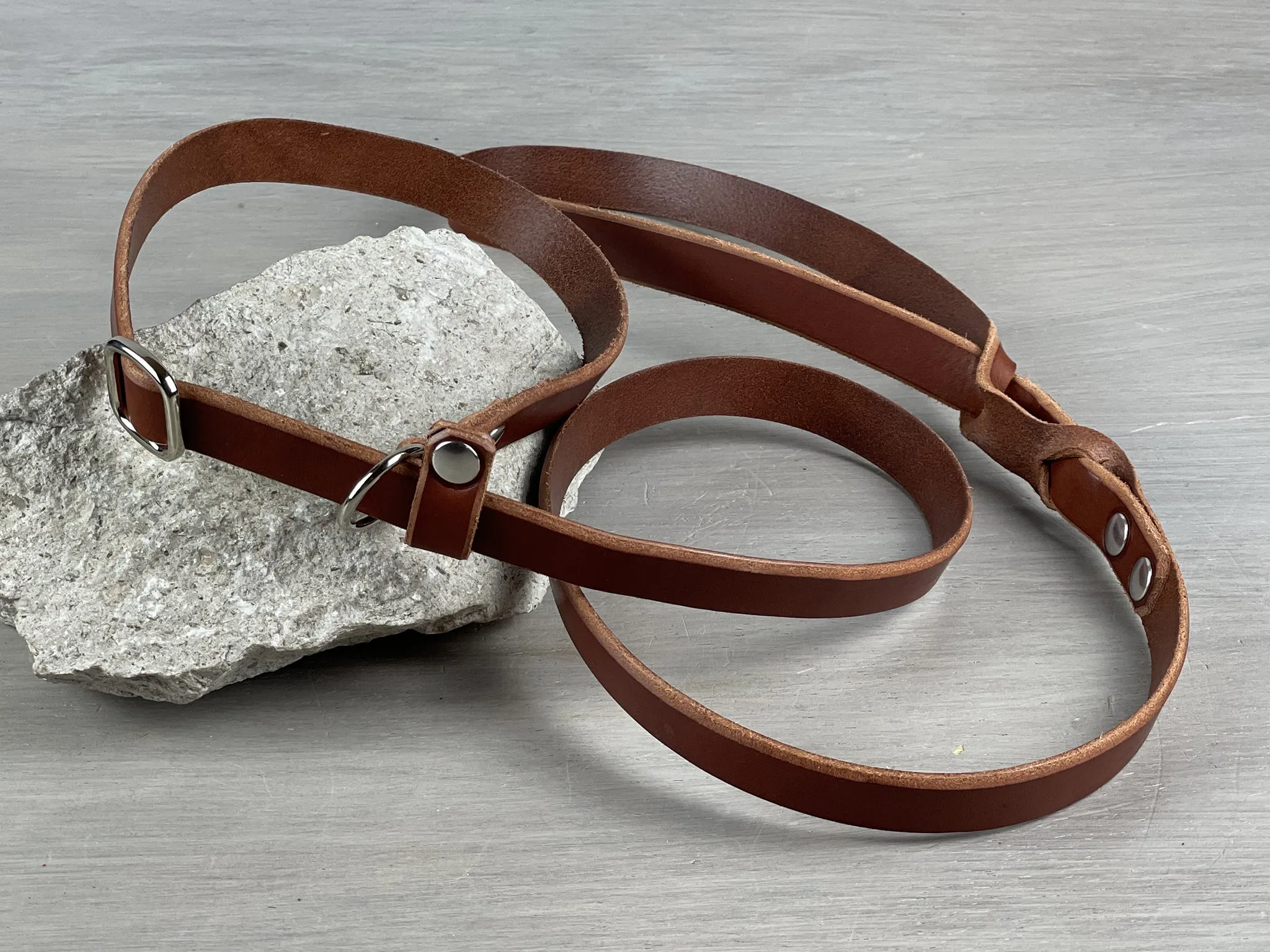Leather Slip Dog Leash from 3 ft to 10 ft with Handle