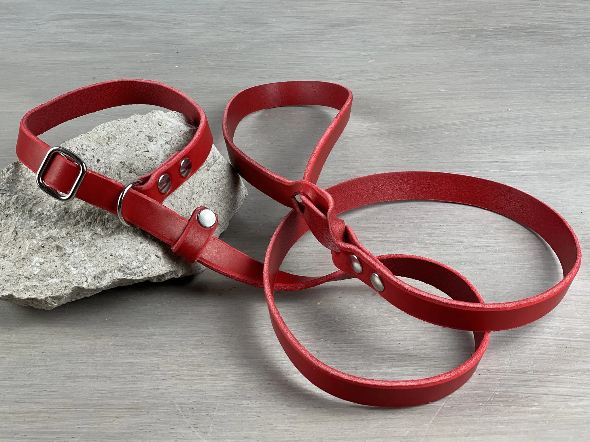 Leather Slip Dog Leash from 3 ft to 10 ft with Handle
