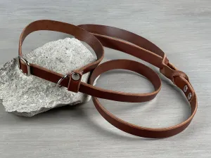 Leather Slip Dog Leash from 3 ft to 10 ft with Handle