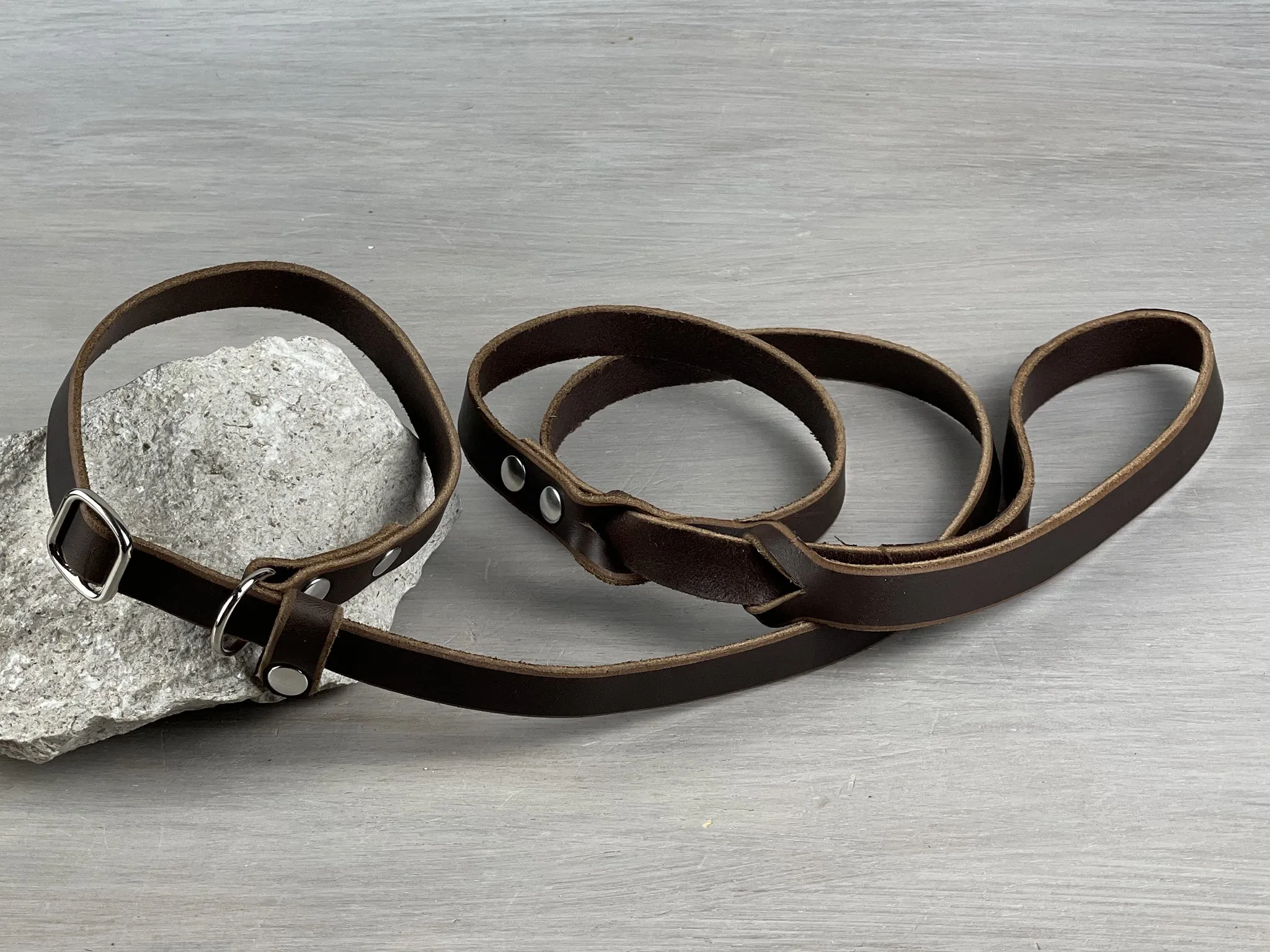 Leather Slip Dog Leash from 3 ft to 10 ft with Handle