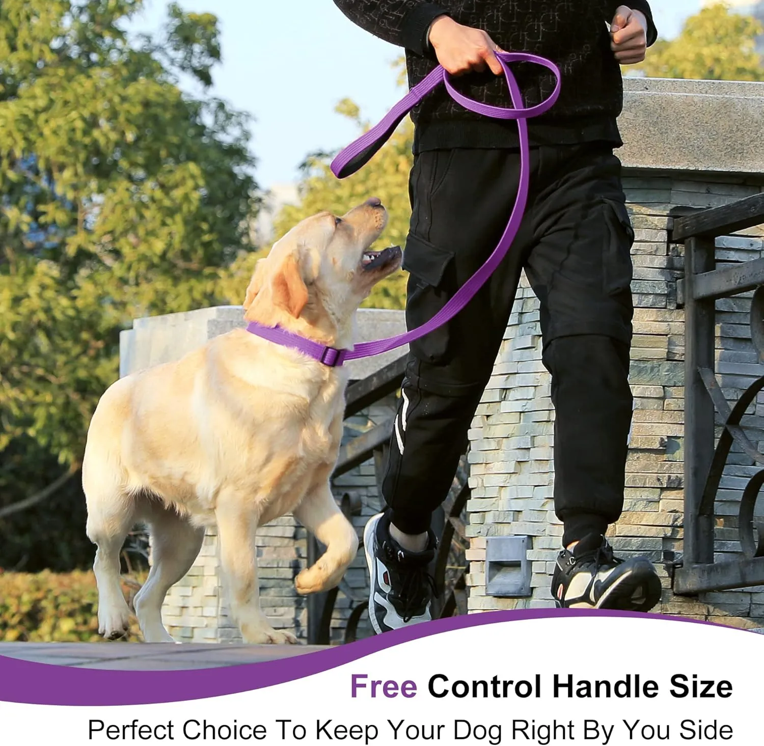 lynxking 6FT Dog Leash for Large Medium Small Dogs,Strong Durable Heavy Duty Nylon Leashes for Walking and Training, Heavy Duty 6 Foot Dog Leash with D Ring for Puppy