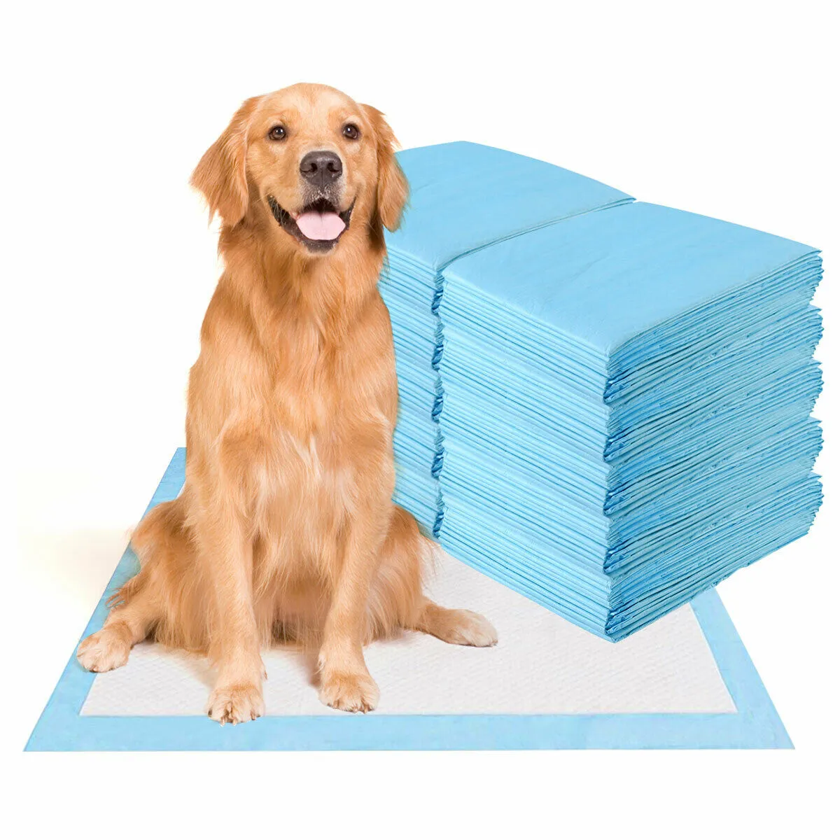 NNECW 300 Pieces Dog Pee pads with Super Absorbent for Doggies