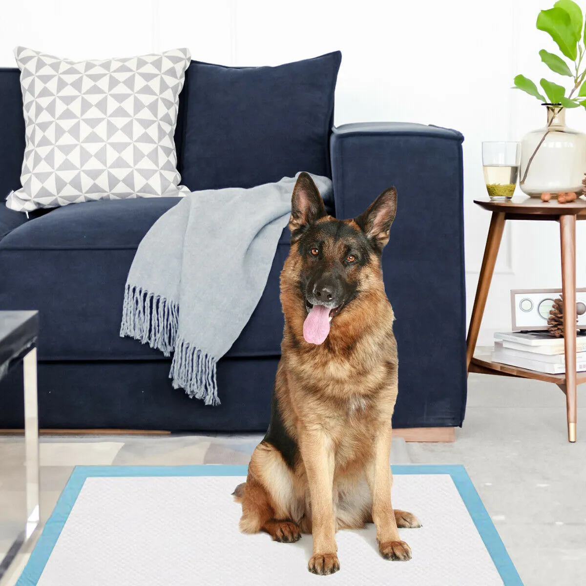 NNECW 300 Pieces Dog Pee pads with Super Absorbent for Doggies