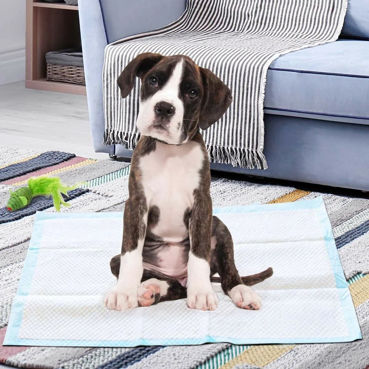 NNECW 300 Pieces Dog Pee pads with Super Absorbent for Doggies