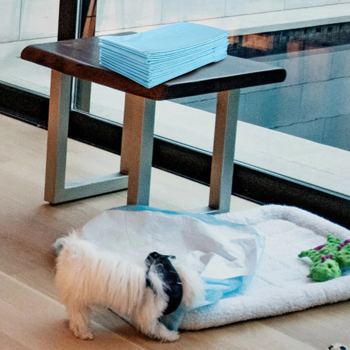 NNECW 300 Pieces Dog Pee pads with Super Absorbent for Doggies