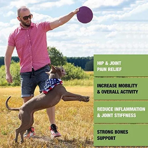 Pawesome Hemp   Glucosamine for Dogs - Hip & Joint Supplement - w/ Hemp Oil   Protein - Chondroitin, MSM, Turmeric to Improve Mobility & Energy - Natural Joint Pain Relief, 120 Soft Chews