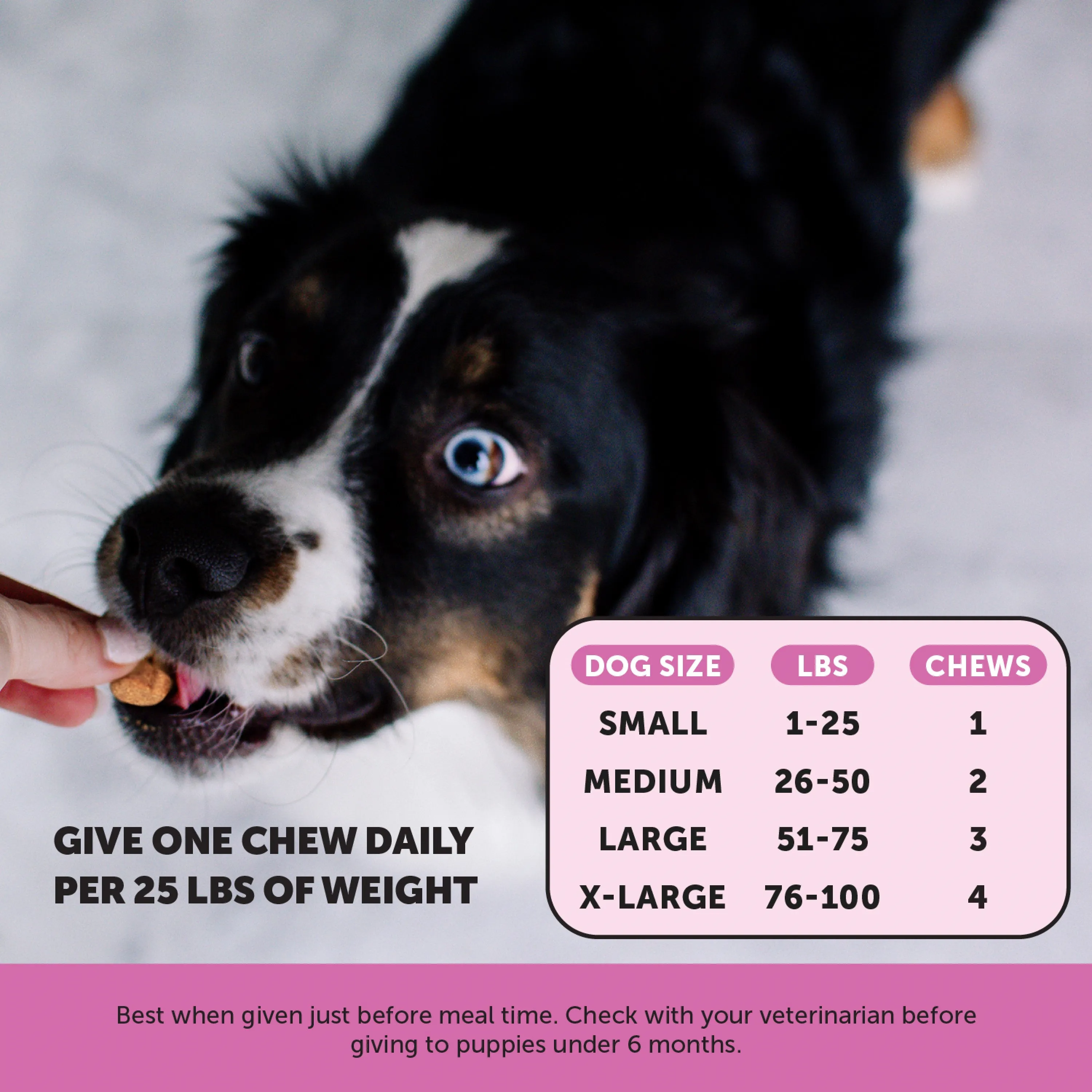 Pet Honesty 10-for-1 Multivitamin Chicken Soft Chew for Dogs