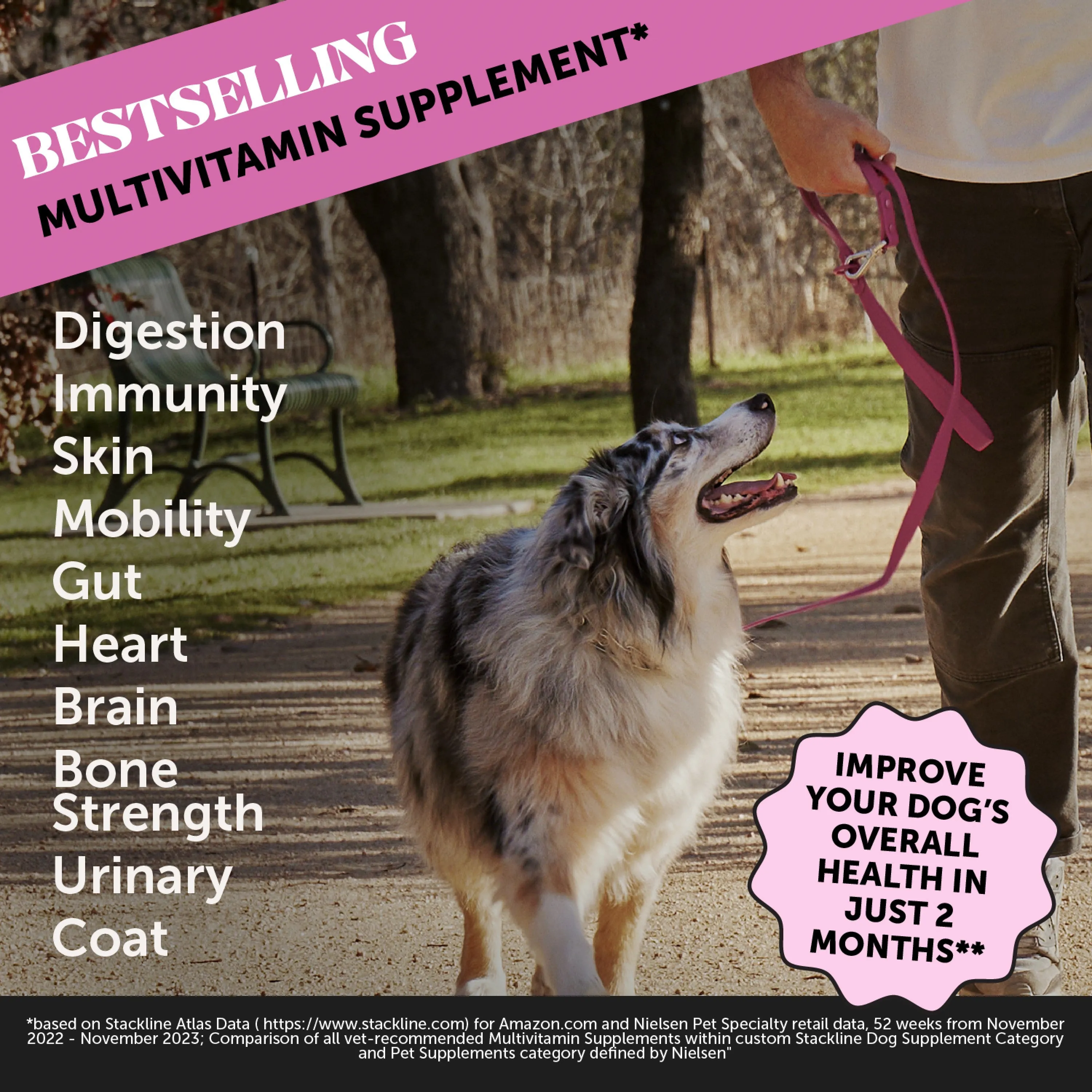 Pet Honesty 10-for-1 Multivitamin Chicken Soft Chew for Dogs