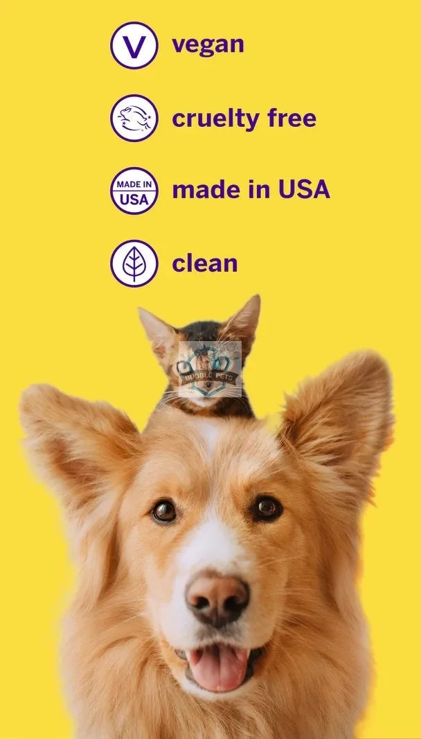 Petsmile Professional London Broil Flavour Toothpaste for Dogs & Cats