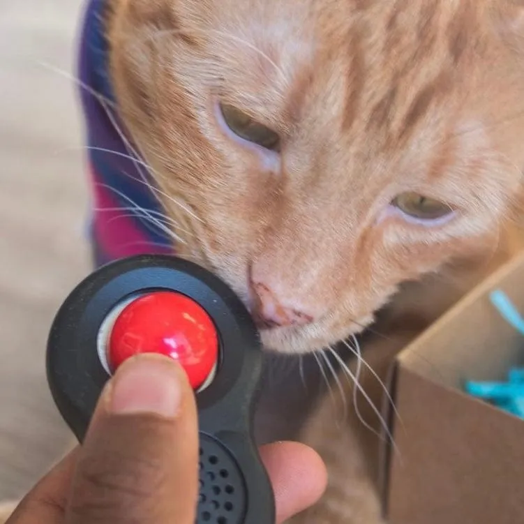 "The Good Kitty" Cat Clicker Training Set (3-Pack)