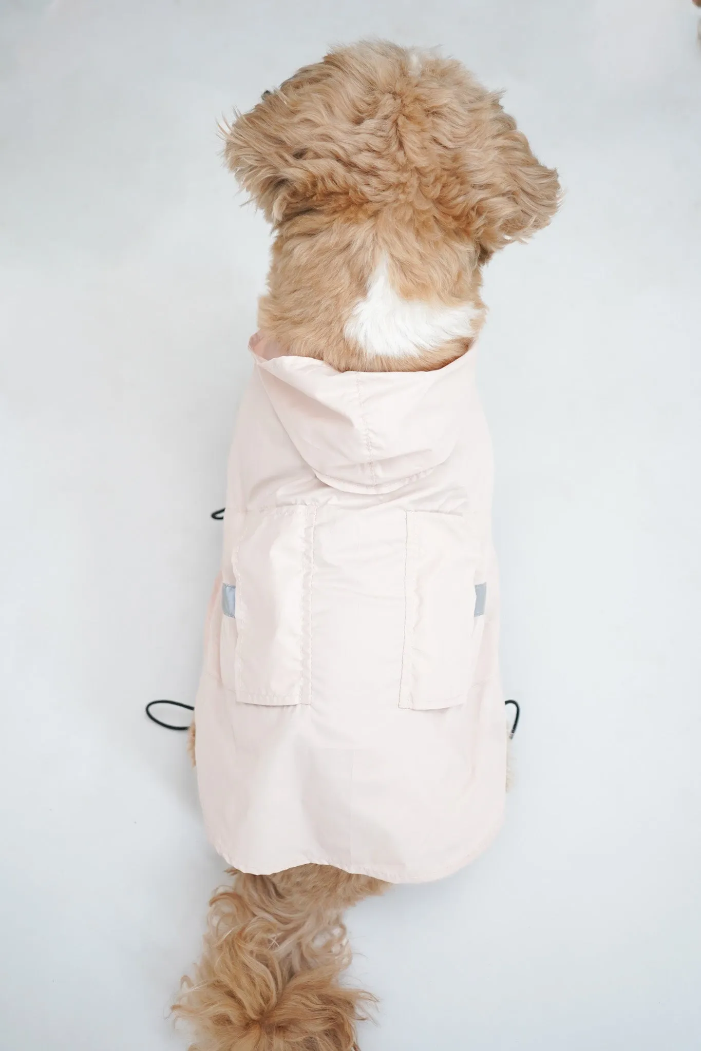 RainPaw Combo - Bunny Eazy Breazy (with paw covers)